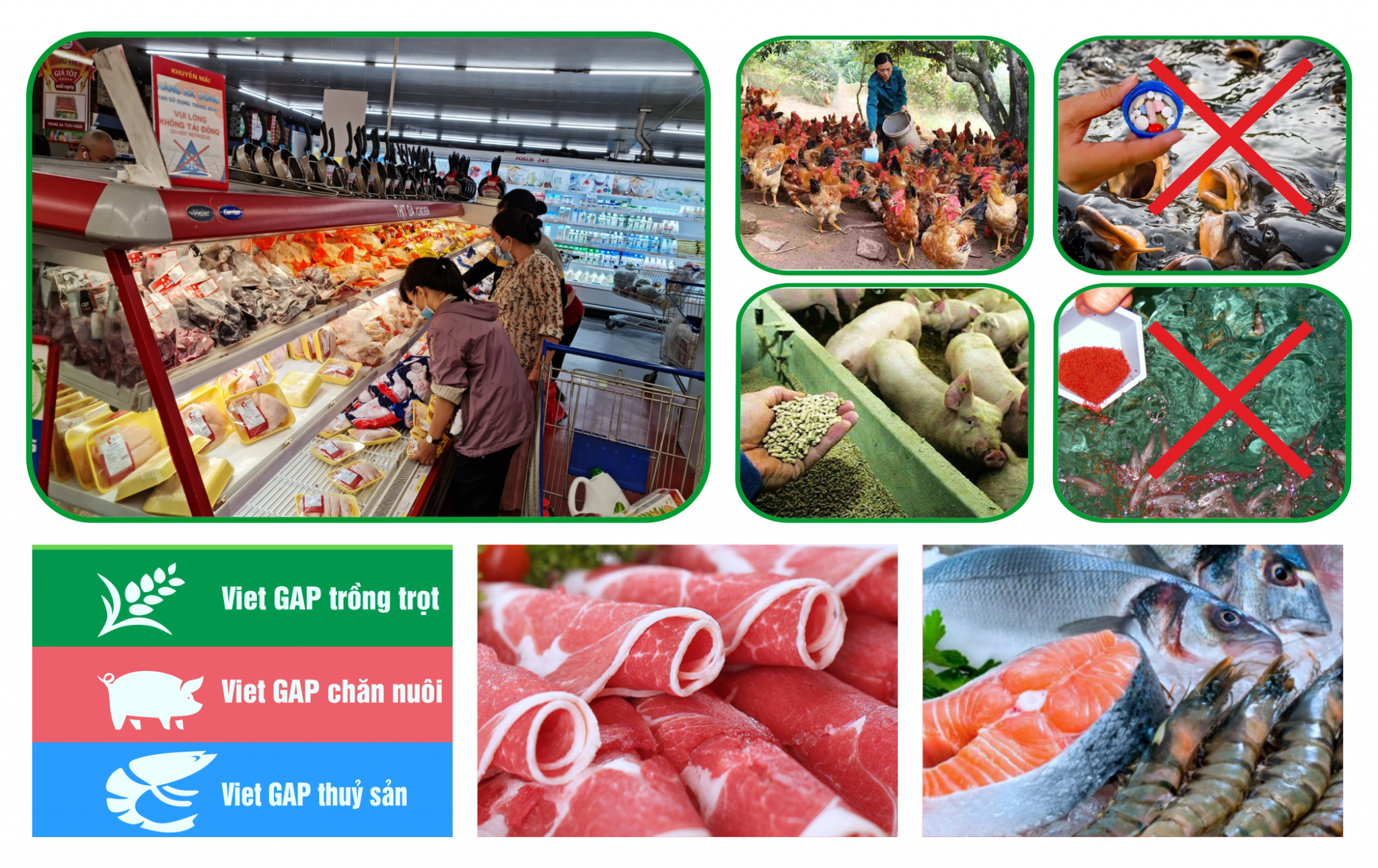 Các hình thức xử lý thực phẩm không an toàn